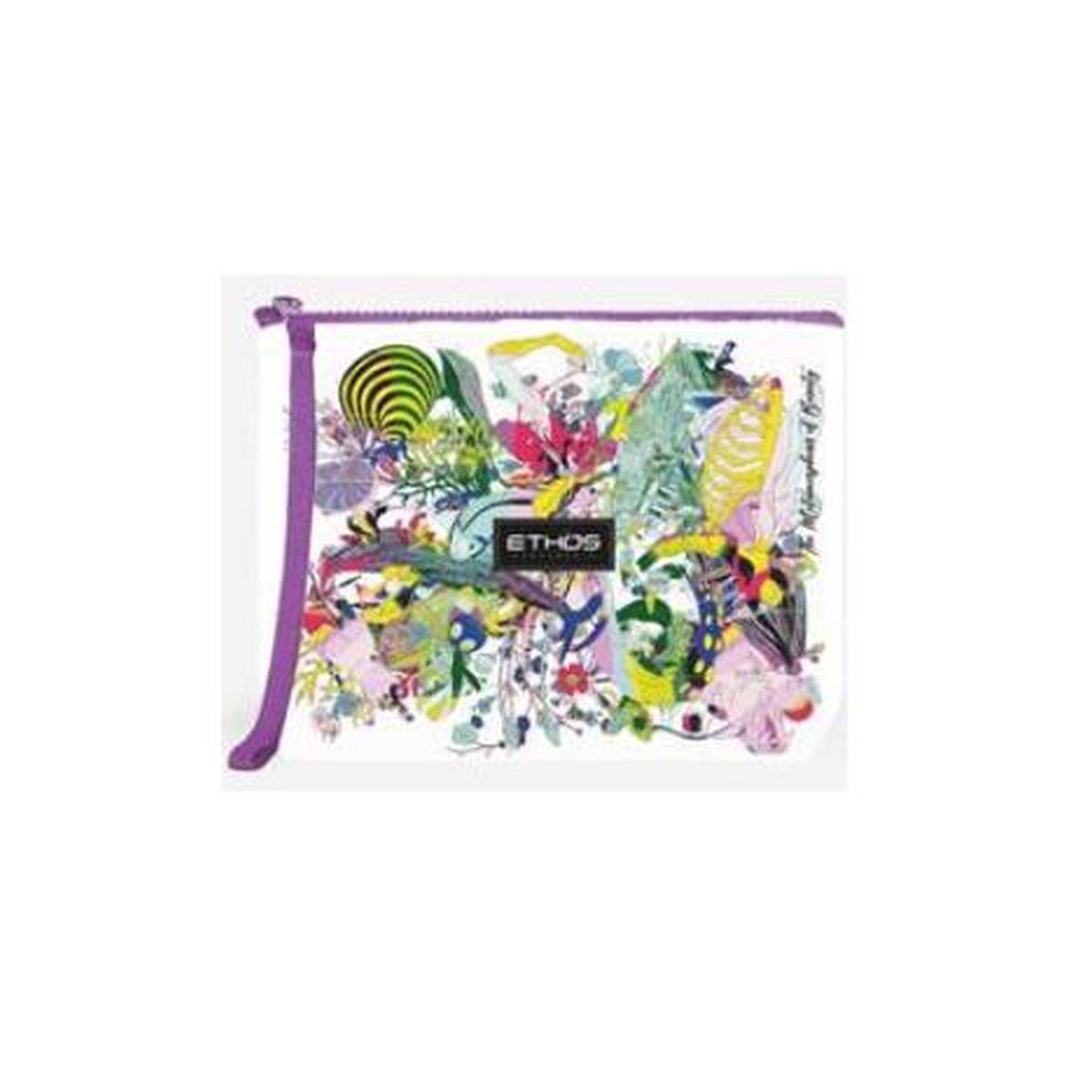 The Metamorphosis of Beauty